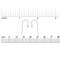 JewelrySupply Sterling Silver Earring Wires (1 Pair of Sterling Silver Earrings)